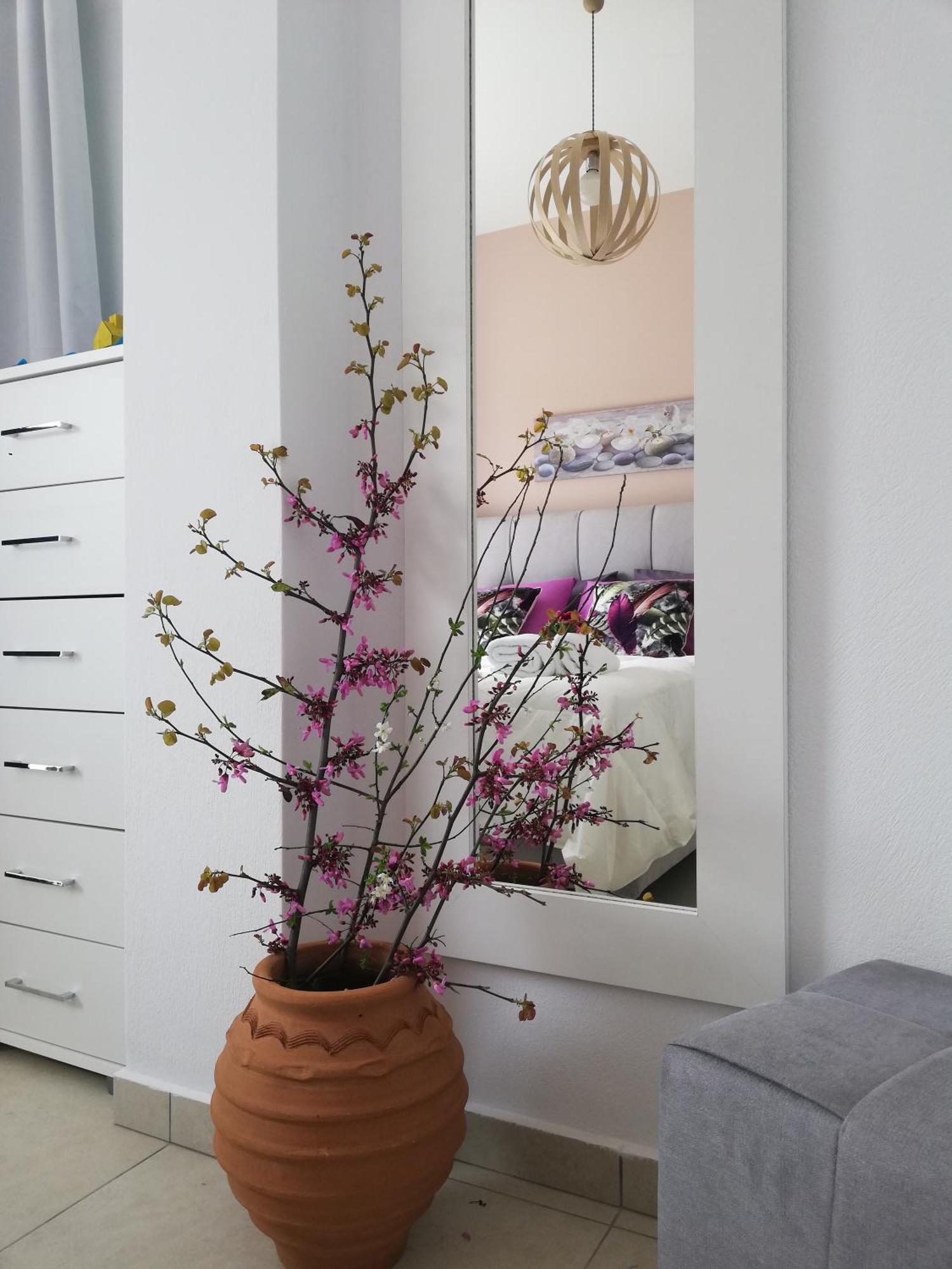 Meltemi Beach Apartments Милатос Екстериор снимка